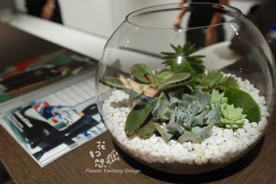 高雄保時捷展示中心開幕